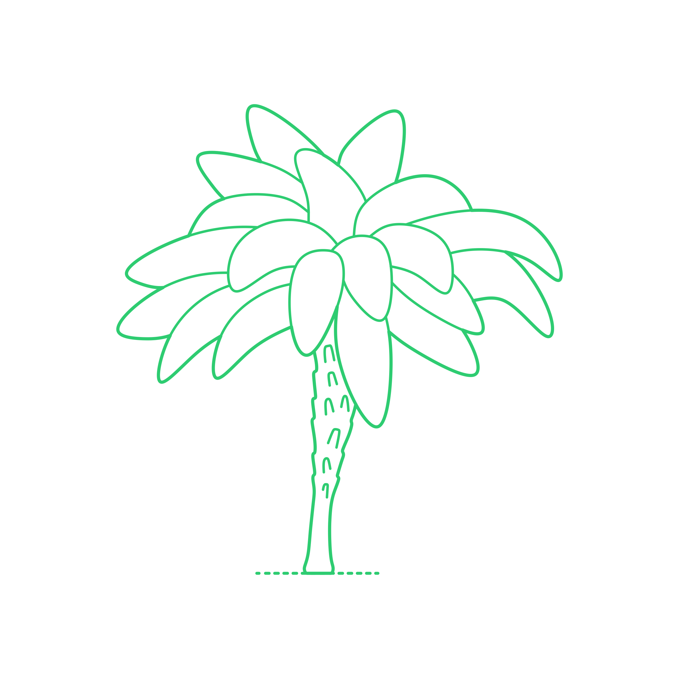 Plants Palms Pygmy Date Palm Silhouette Cutting Svg Files Free Vectors